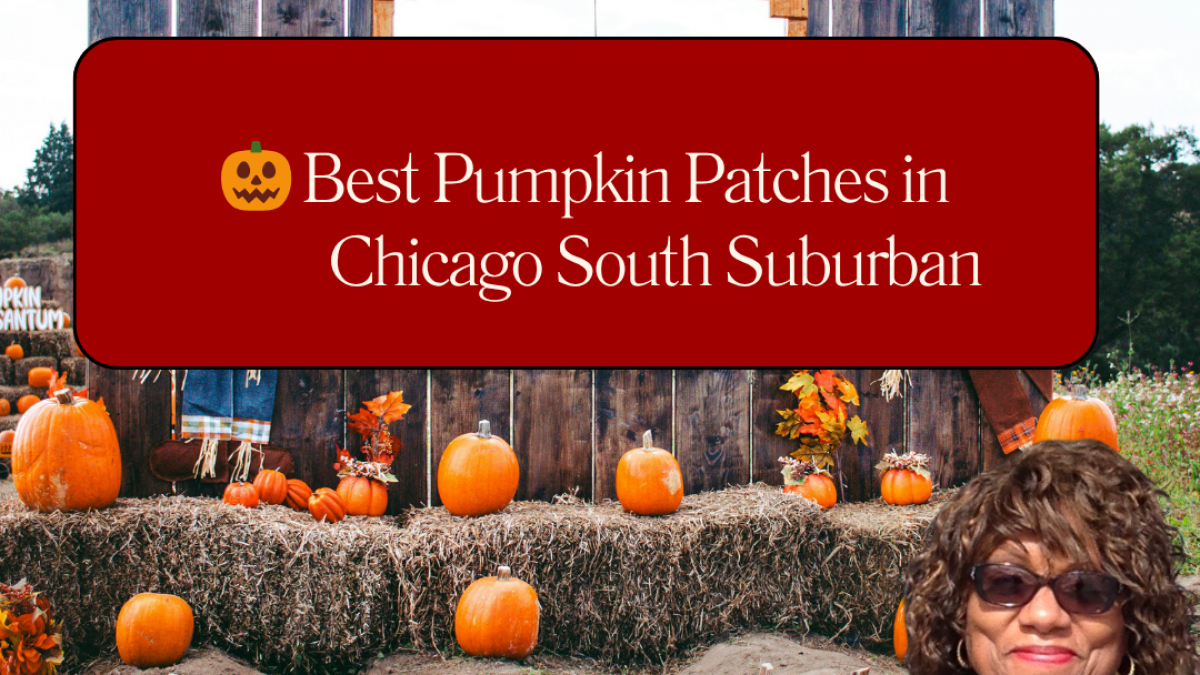 Best Pumpkin Patches Page 1 2025