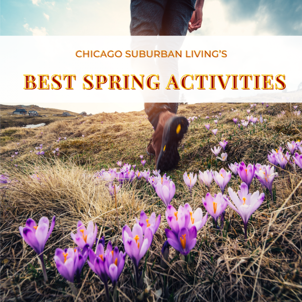 Best Spring Activitied 032026
