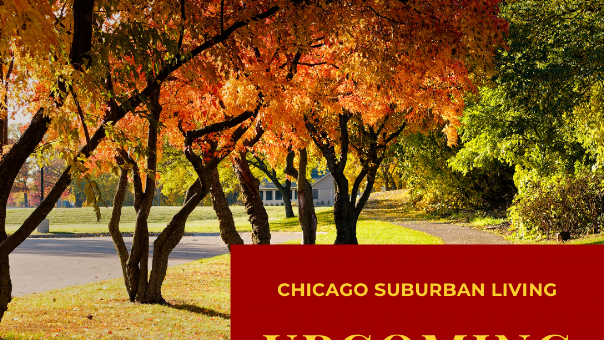 Weekly Events 10252024